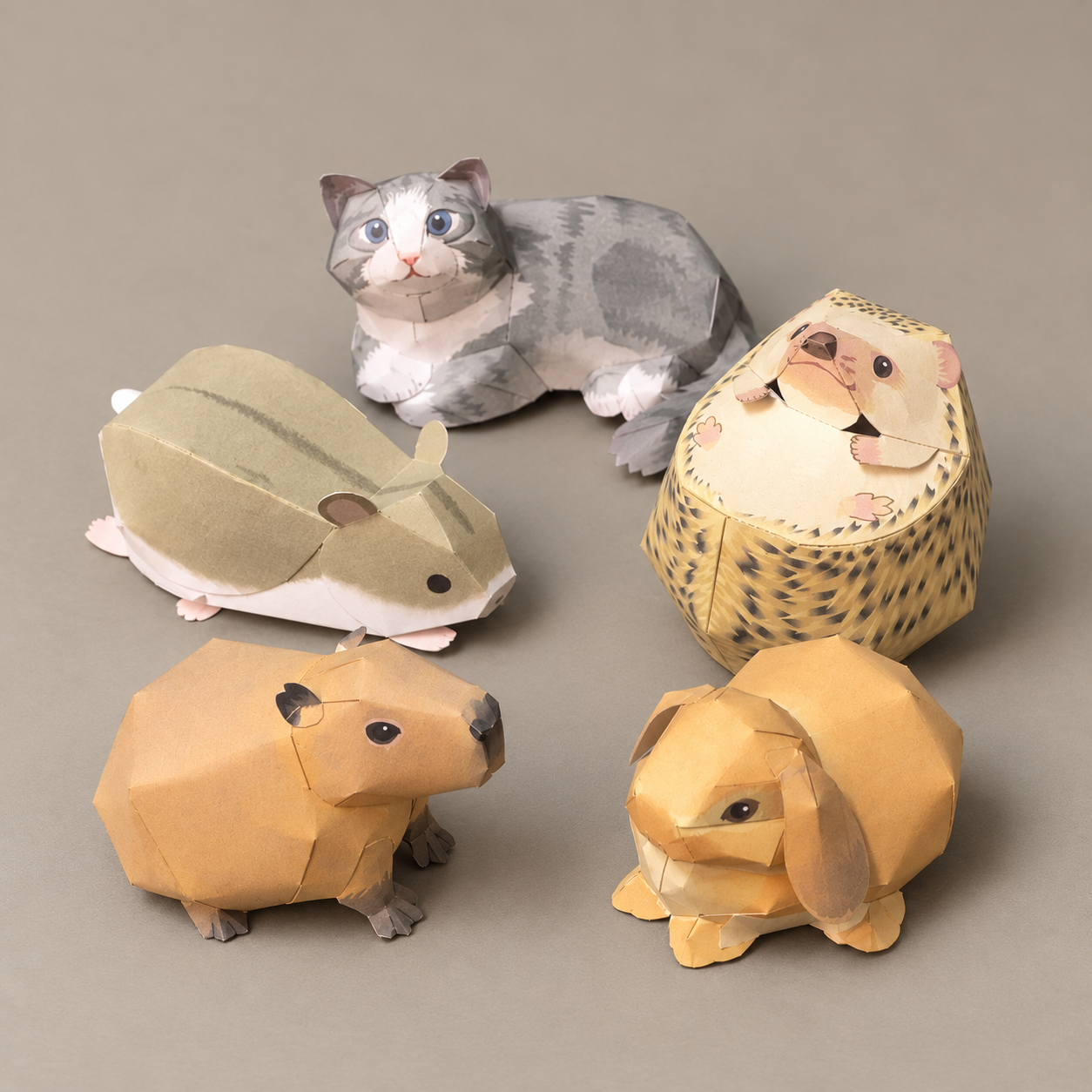 5 Animals DIY Education Kit