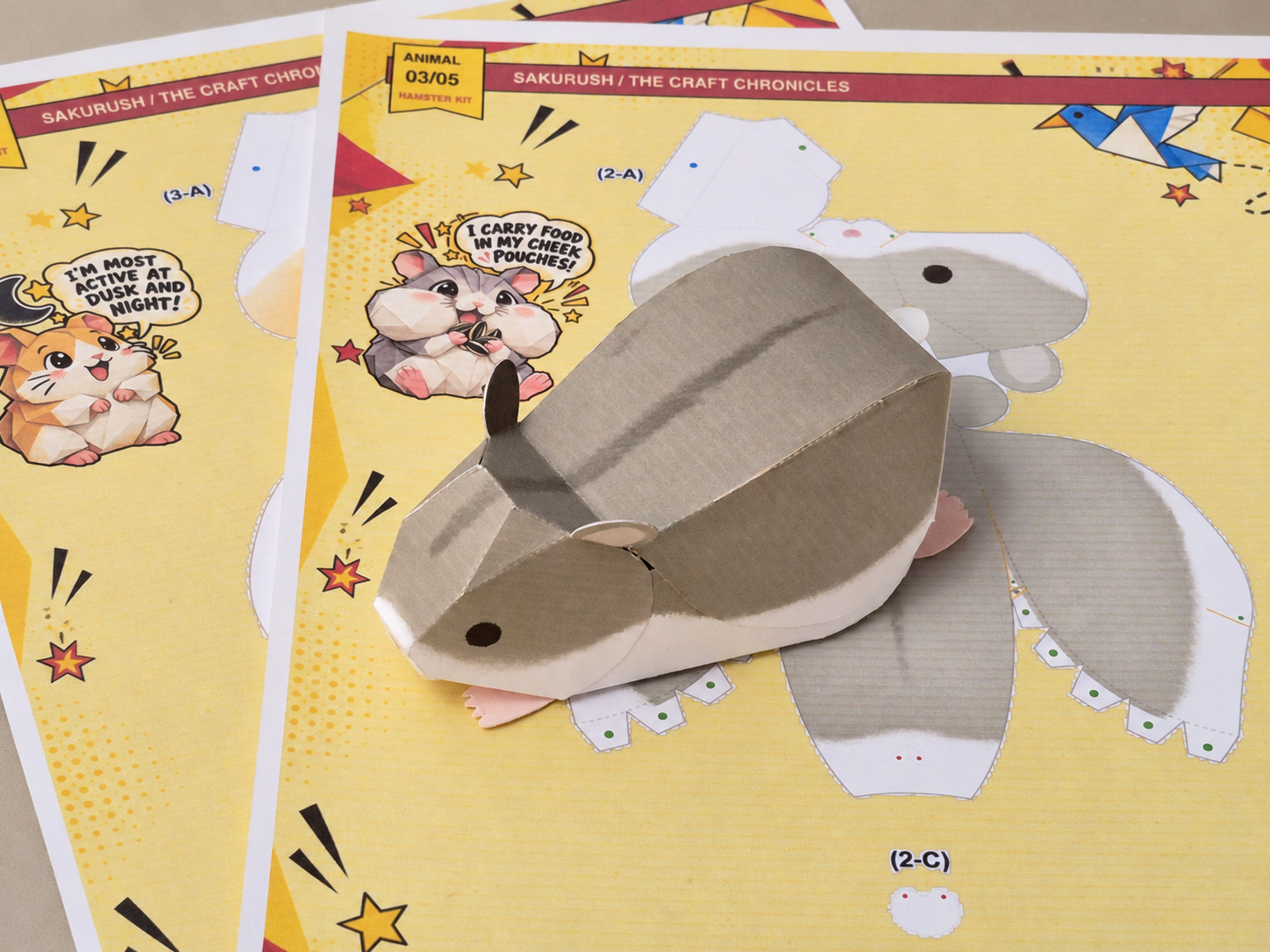 5 Animals DIY Education Kit